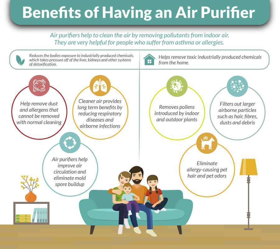 Air Purifier for Apartment Living