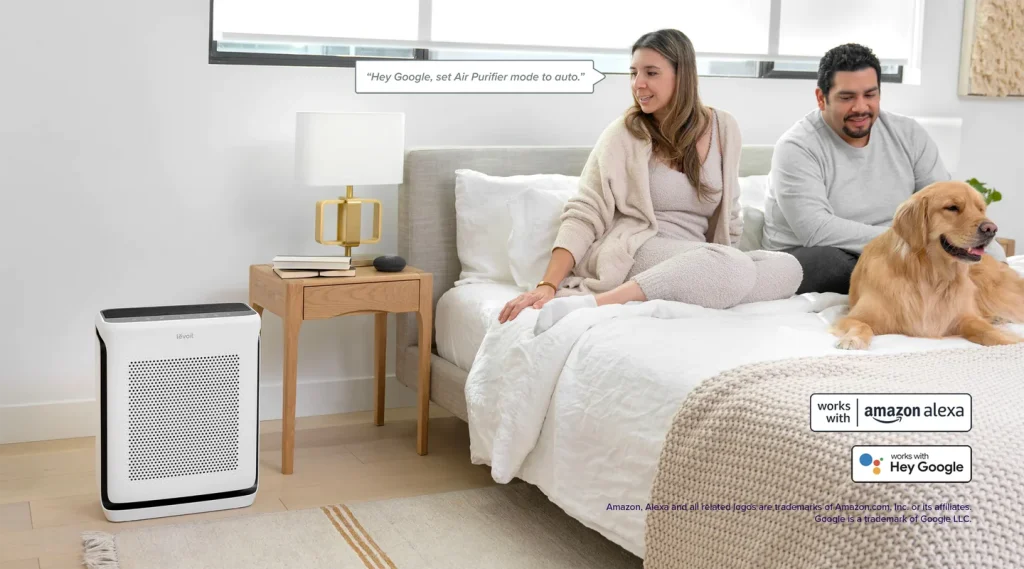 Air Purifier for Apartment Living