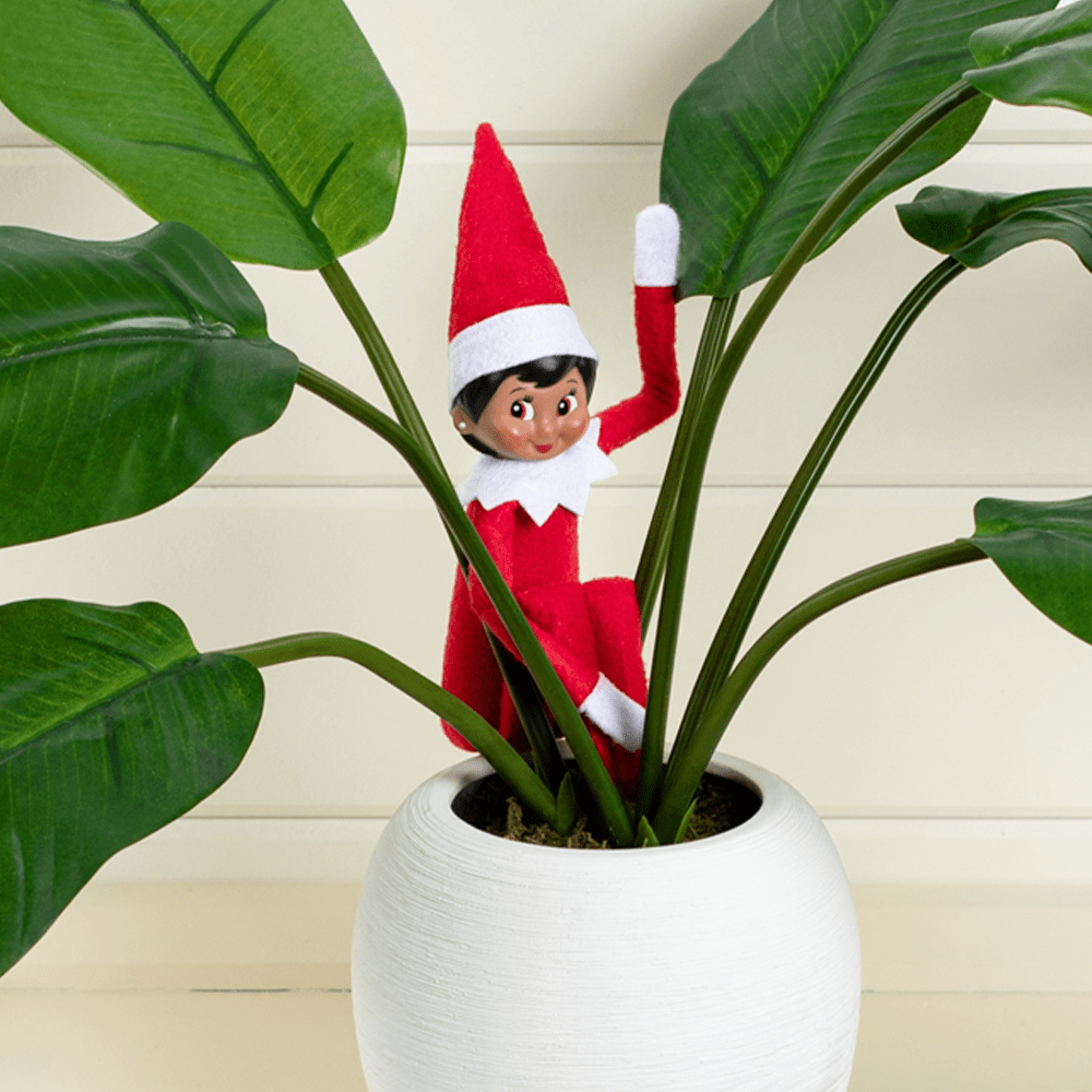 Elf On The Shelf In Apartment