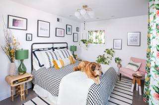 What Apartment Amenities Are Included in the Complex?